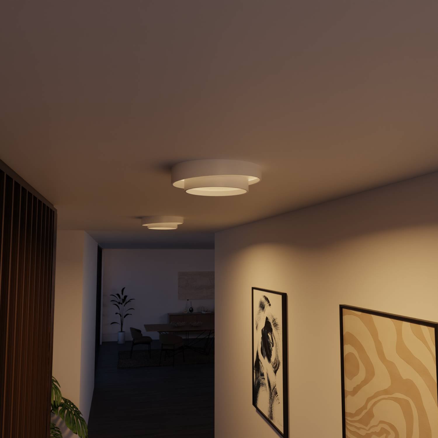 Ceiling Lights