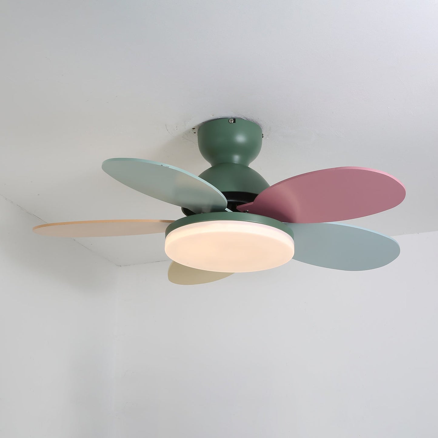 Elegant Ceiling Fan with Lights & Petal-Shaped Blades | Whisper-Quiet DC Motor for Energy Efficiency 14