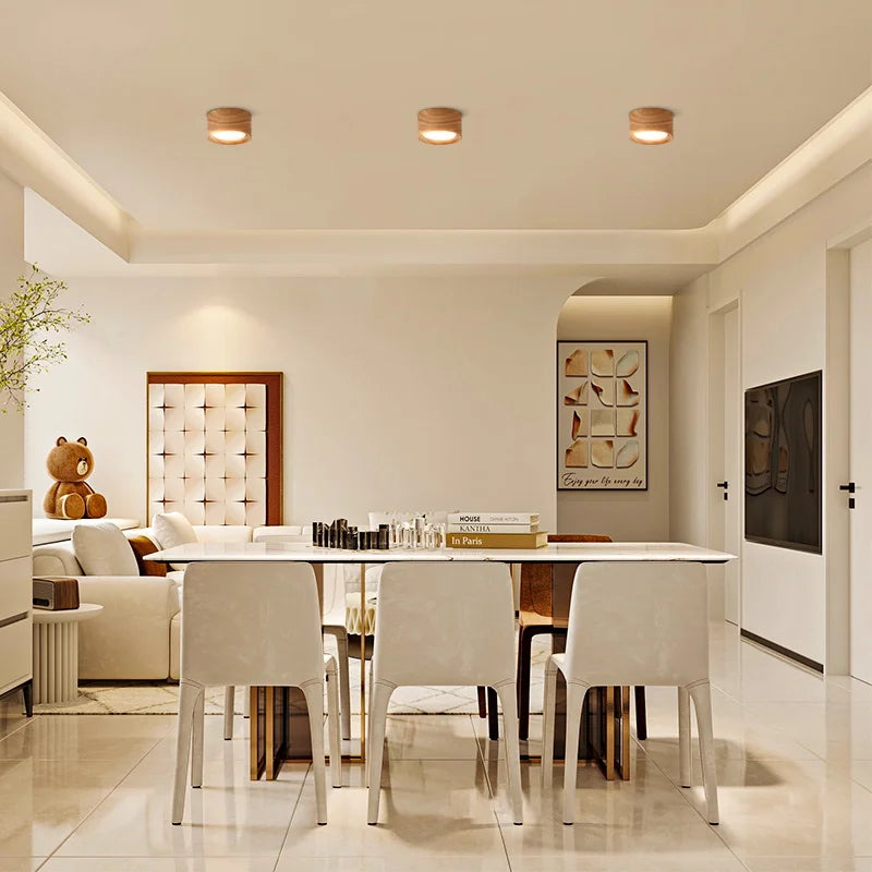 Elegant Ceiling Light Fixture | GX53 LED Downlight with Warm & Neutral Light | Versatile Indoor Lighting for Home Decor 3