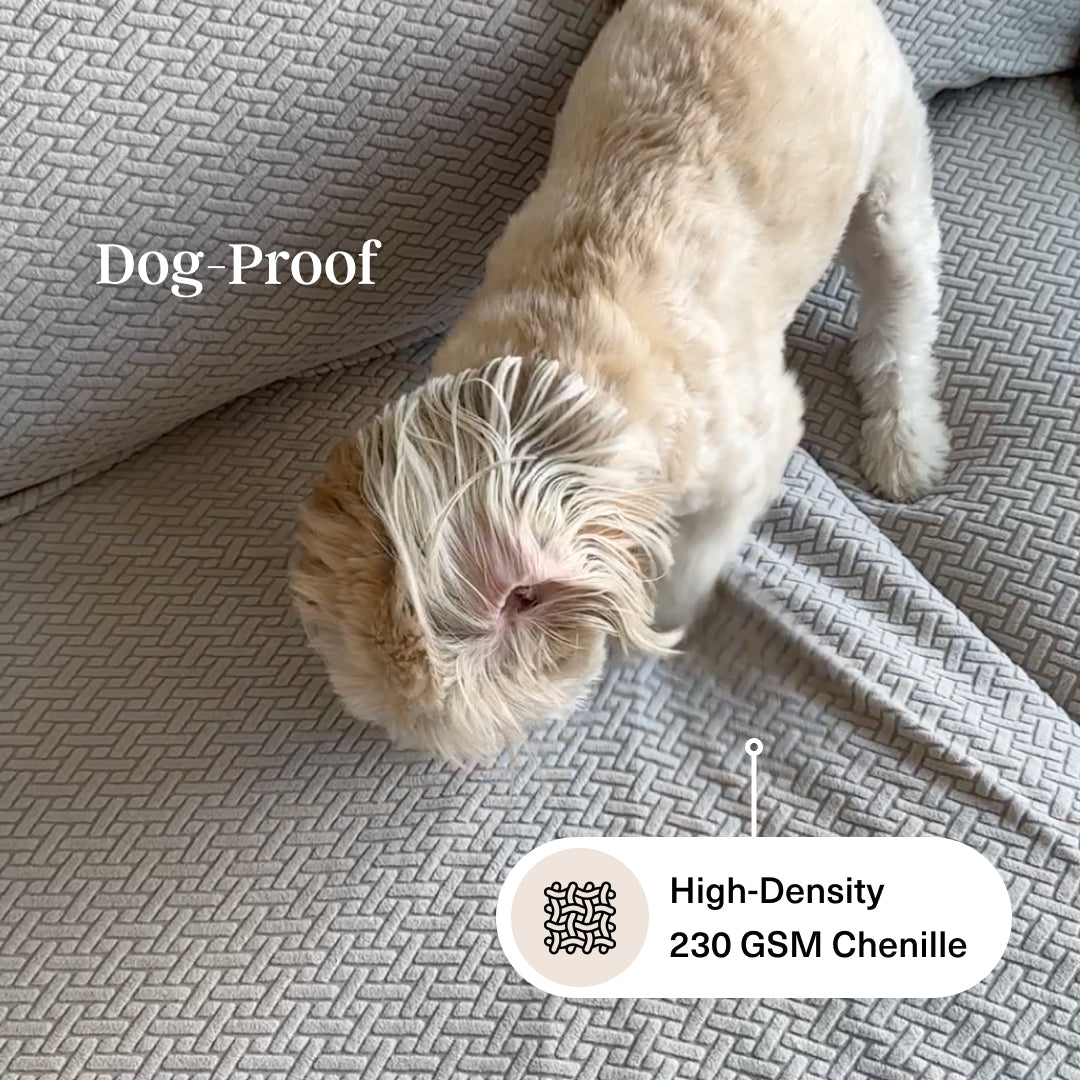 Elegant | High-Stretch Sofa Cover with Timeless Design | Easy Care for Cozy Home Decor 2