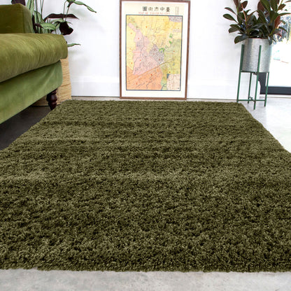 Green shaggy rug in a living room with a green sofa and plants.