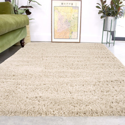 Beige carpet in a room with a green couch, plant, and framed map on the wall.