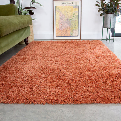 Orange rug in a room with a green couch and a map on the wall.
