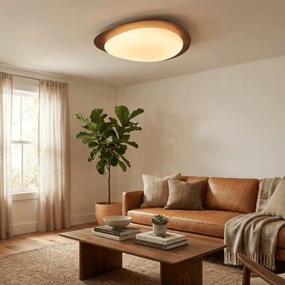Pebble Collection | Flush Mount Ceiling Light with Adjustable Brightness | Elegant Design for Stylish Interiors 8