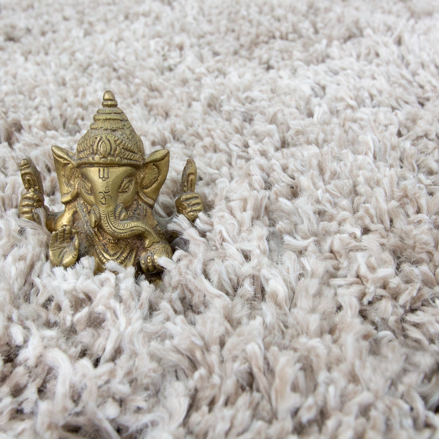 Shaggy Beige Area Rug with Luxurious Texture | Versatile Design for Home Comfort 3