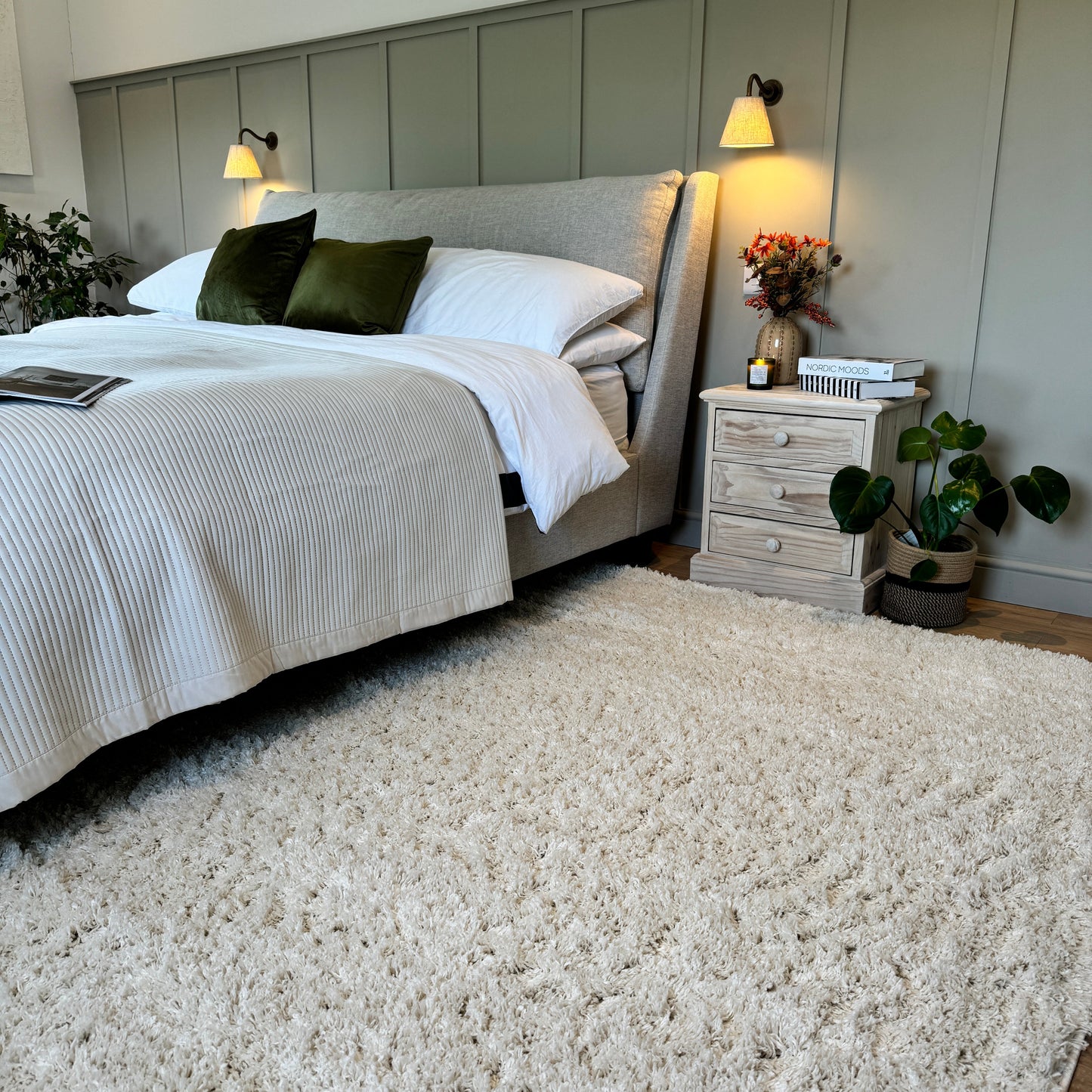 Soft Shaggy Area Rug | Cream White Design with Plush Texture | Versatile Living Room Rugs for Comfort and Style 1