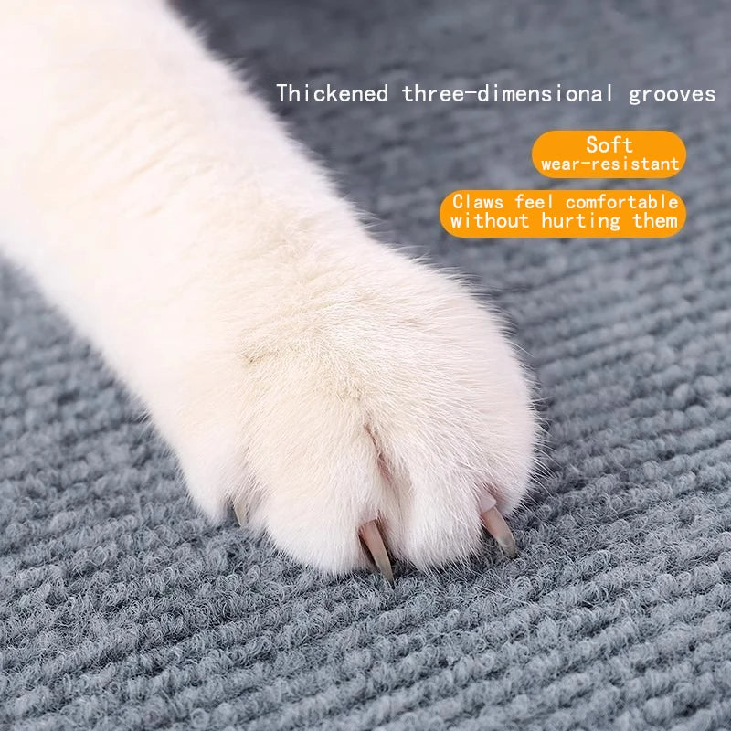 Solid Color Rug | Thickened Design for Home & Office with Moisture Resistance 4