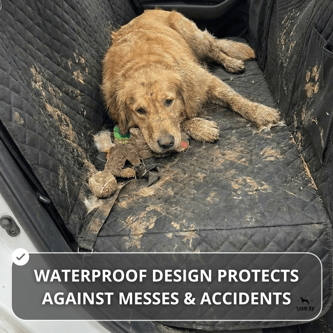 Waterproof Dog Car Hammock Cover with Anti-Slip Anchors | Durable Back Seat Cover for Clean Rides 8